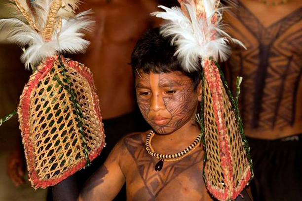Indio boy preparing for the 'bullet ants dance' Indio boy preparing for the 'bullet ants dance'